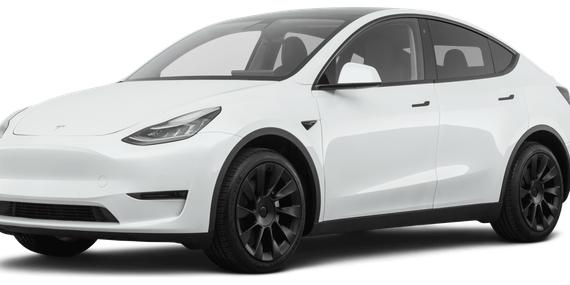 TESLA MODEL Y 2020 5YJYGDEE0LF056259 image
